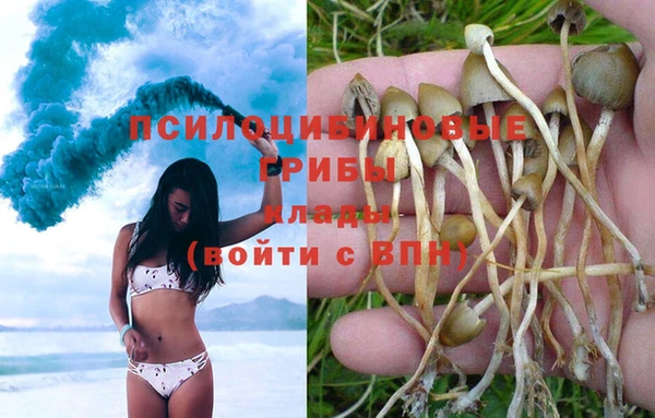 альфа пвп Алексеевка