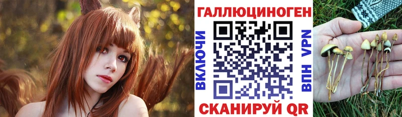 Псилоцибиновые грибы MAGIC MUSHROOMS  Лодейное Поле 